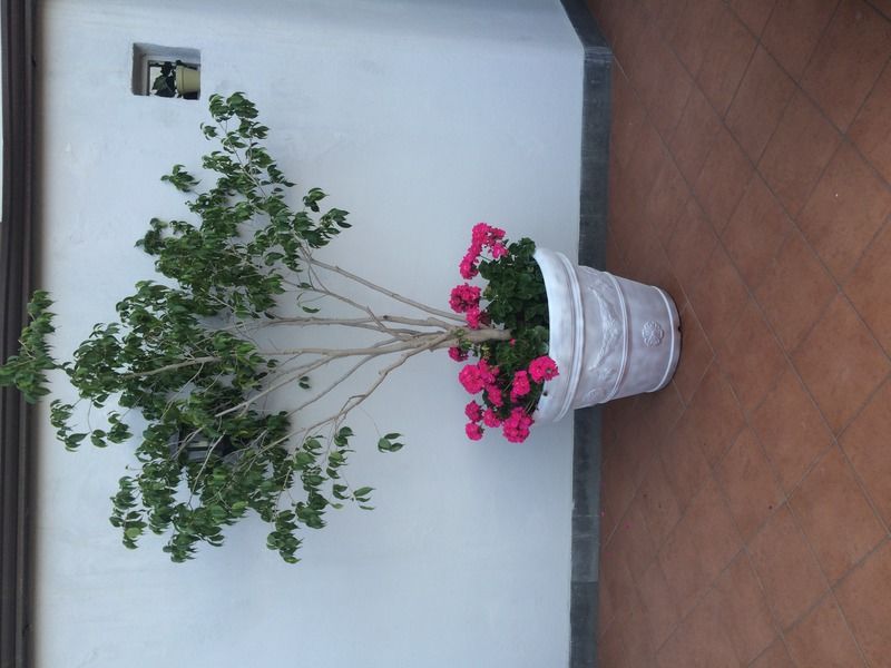 Hotel Margherita Naples
